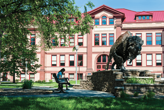 student bison statue